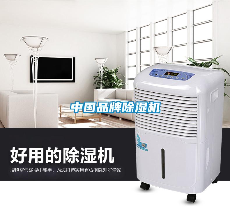 中國(guó)品牌除濕機(jī)