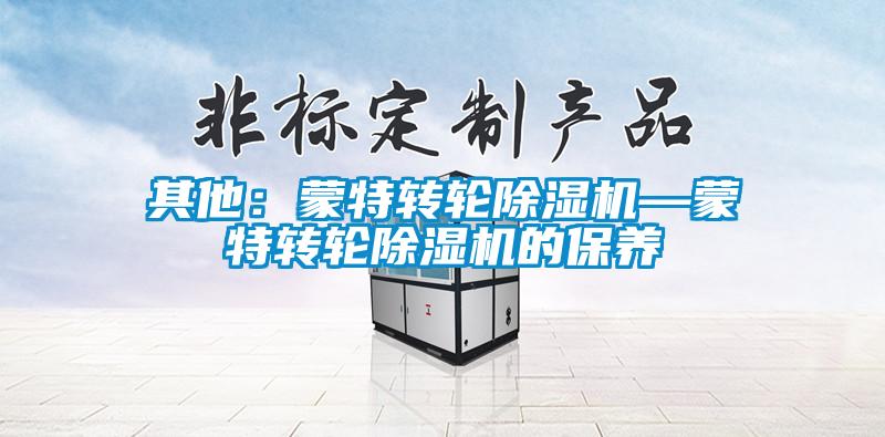 其他：蒙特轉(zhuǎn)輪除濕機—蒙特轉(zhuǎn)輪除濕機的保養(yǎng)