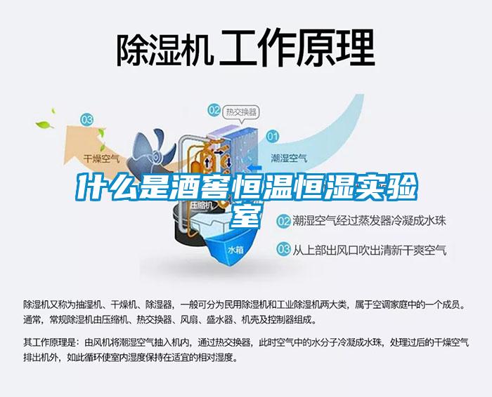 什么是酒窖恒溫恒濕實驗室