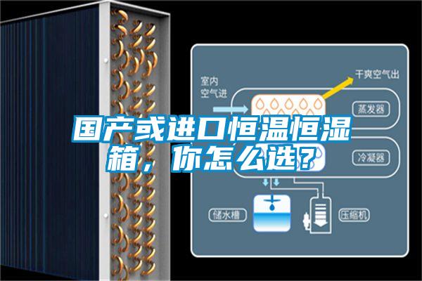 國產(chǎn)或進(jìn)口恒溫恒濕箱，你怎么選？