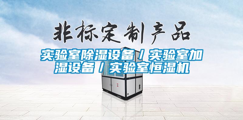 實(shí)驗(yàn)室除濕設(shè)備/實(shí)驗(yàn)室加濕設(shè)備/實(shí)驗(yàn)室恒濕機(jī)