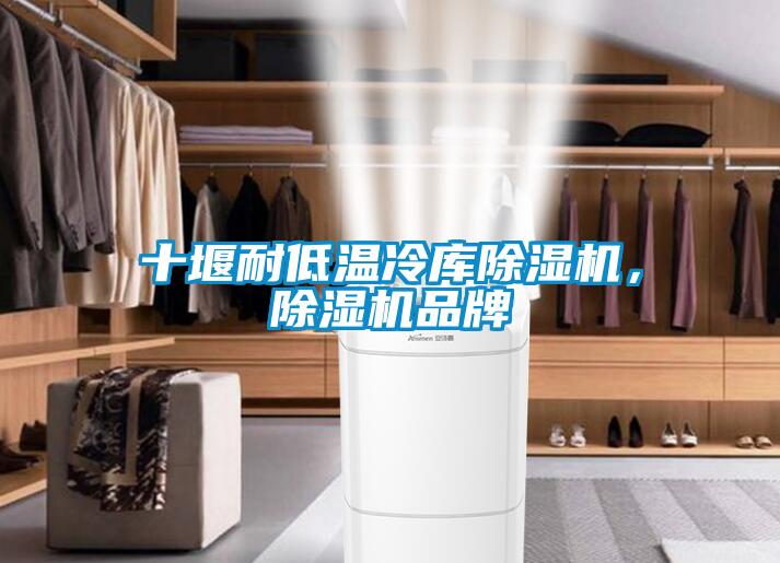 十堰耐低溫冷庫除濕機,除濕機品牌