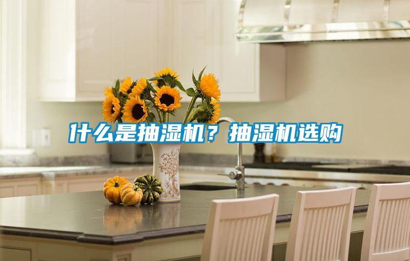 什么是抽濕機?抽濕機選購