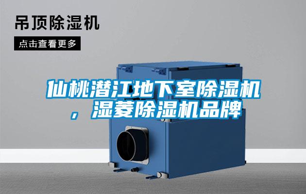 仙桃潛江地下室除濕機，濕菱除濕機品牌