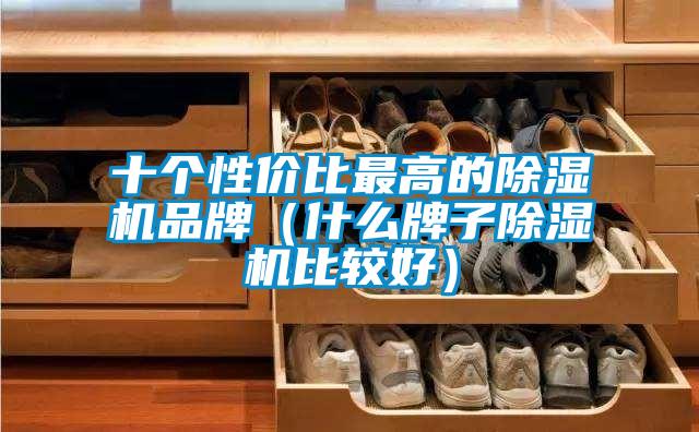 十個性價比最高的除濕機品牌(什么牌子除濕機比較好)