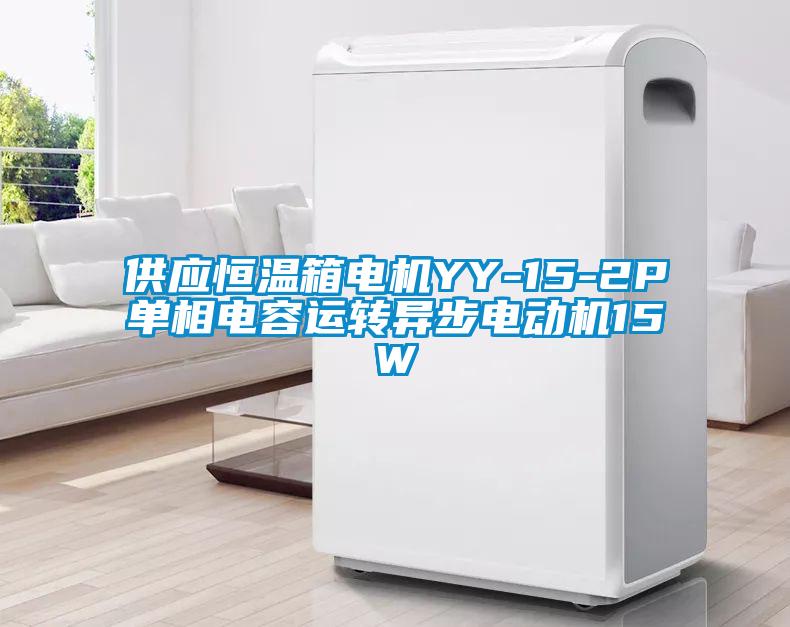 供應(yīng)恒溫箱電機(jī)YY-15-2P單相電容運轉(zhuǎn)異步電動機(jī)15W