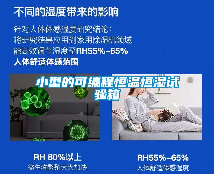 小型的可編程恒溫恒濕試驗箱
