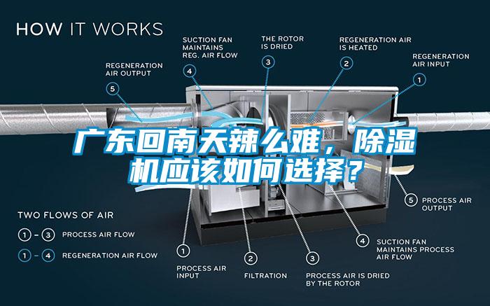 廣東回南天辣么難,除濕機應該如何選擇?