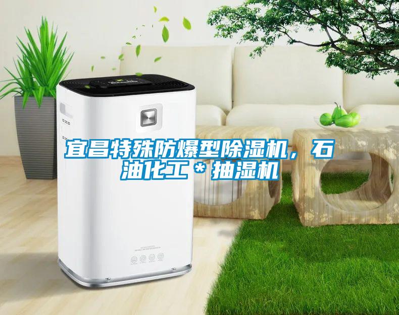 宜昌特殊防爆型除濕機，石油化工＊抽濕機
