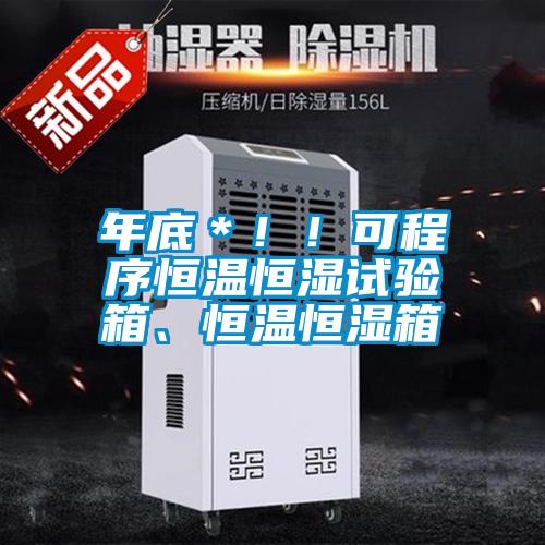 年底*!!可程序恒溫恒濕試驗(yàn)箱、恒溫恒濕箱
