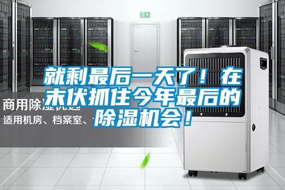 就剩最后一天了！在末伏抓住今年最后的除濕機會！
