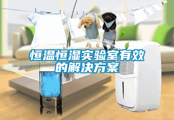 恒溫恒濕實驗室有效的解決方案