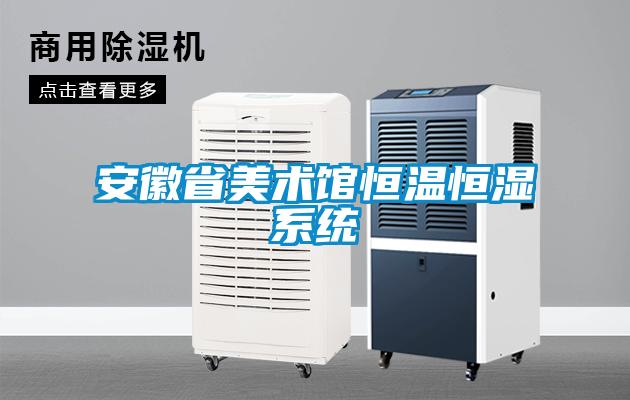 安徽省美術館恒溫恒濕系統