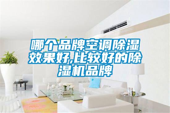 哪個品牌空調除濕效果好,比較好的除濕機品牌