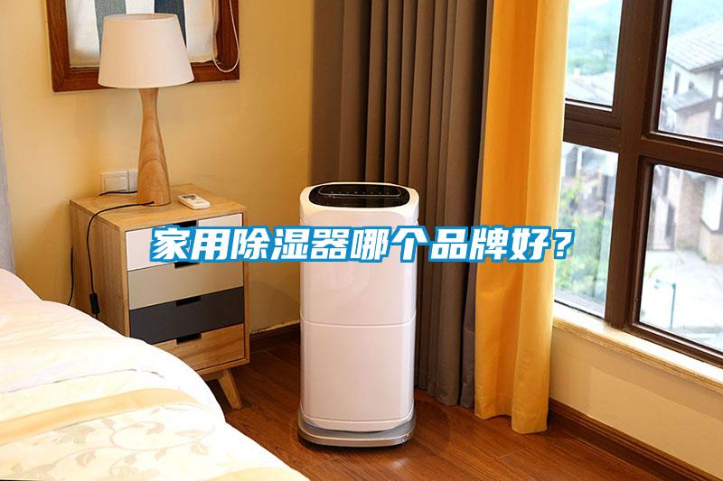 家用除濕器哪個品牌好？