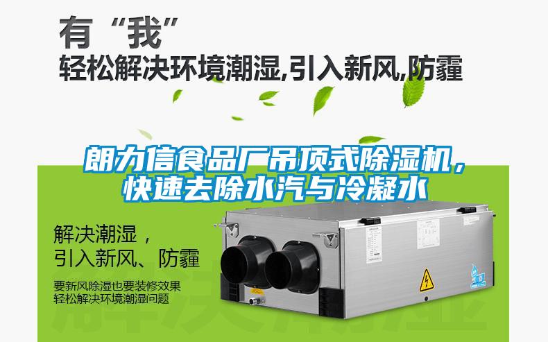 朗力信食品廠吊頂式除濕機(jī)，快速去除水汽與冷凝水