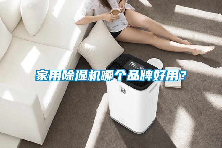 家用除濕機(jī)哪個(gè)品牌好用？