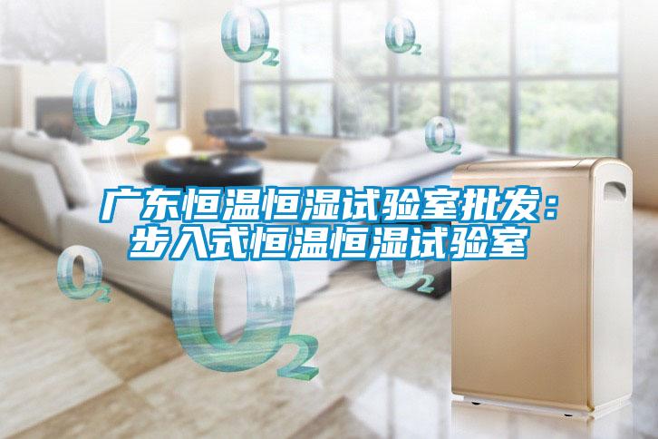 廣東恒溫恒濕試驗室批發：步入式恒溫恒濕試驗室