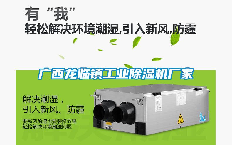 廣西龍臨鎮工業除濕機廠家