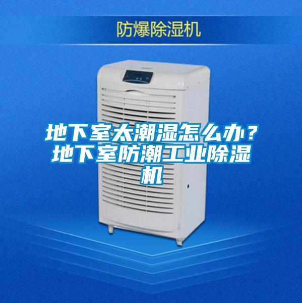 地下室太潮濕怎么辦？地下室防潮工業除濕機