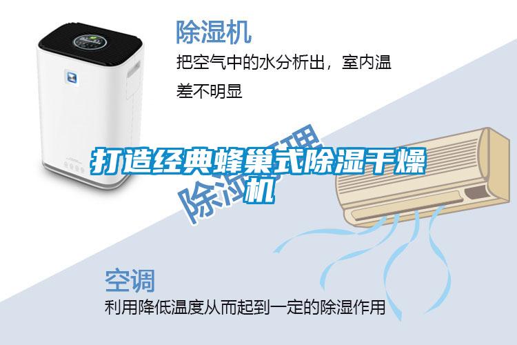 打造經(jīng)典蜂巢式除濕干燥機(jī)