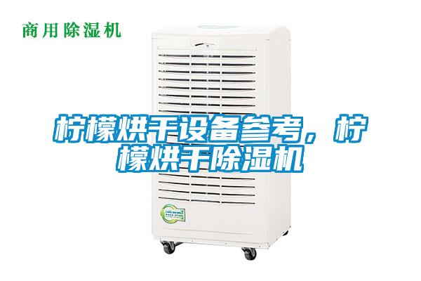 檸檬烘干設備參考，檸檬烘干除濕機