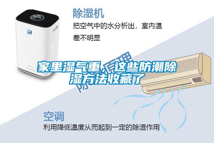 家里濕氣重，這些防潮除濕方法收藏了