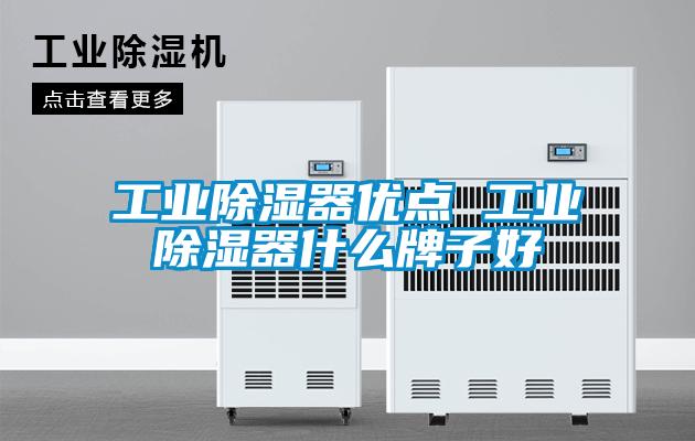 工業除濕器優點 工業除濕器什么牌子好