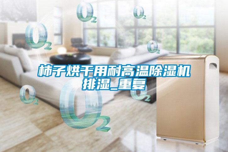 柿子烘干用耐高溫除濕機排濕_重復