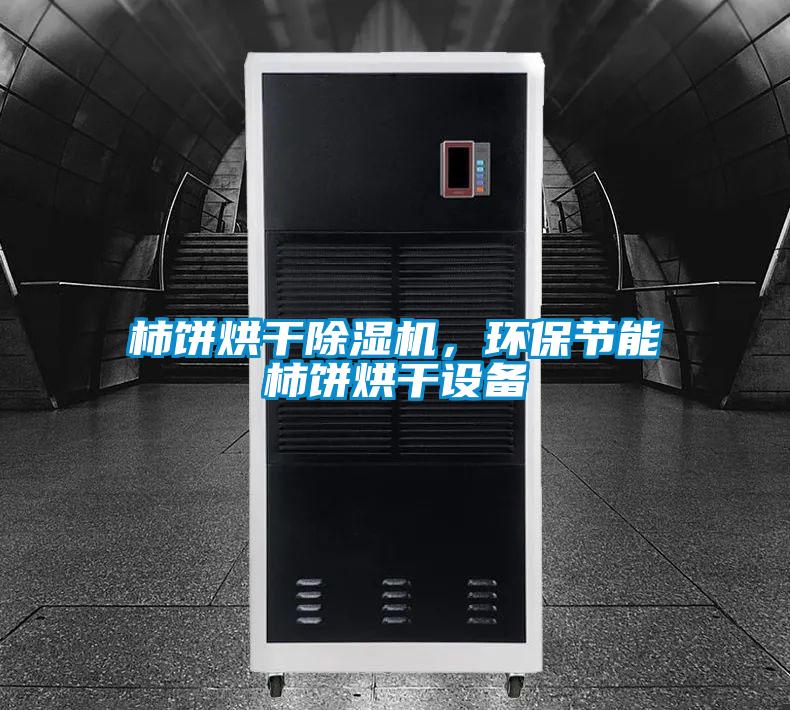 柿餅烘干除濕機，環保節能柿餅烘干設備