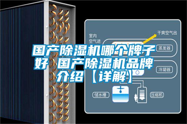 國產(chǎn)除濕機哪個牌子好 國產(chǎn)除濕機品牌介紹【詳解】