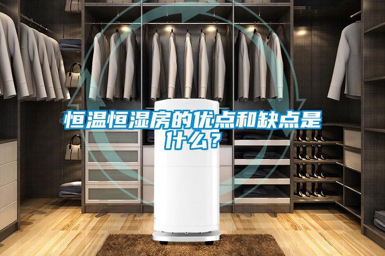 恒溫恒濕房的優(yōu)點(diǎn)和缺點(diǎn)是什么?