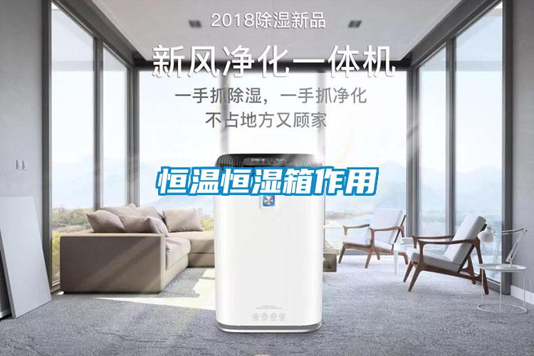 恒溫恒濕箱作用