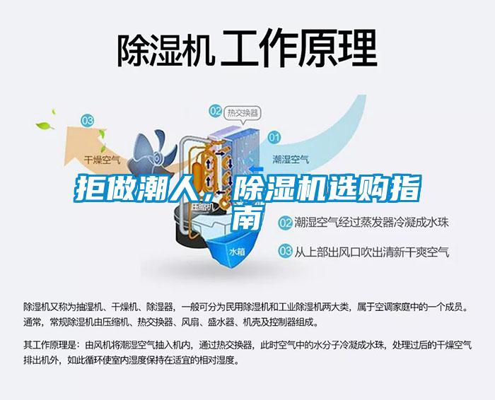 拒做潮人，除濕機選購指南
