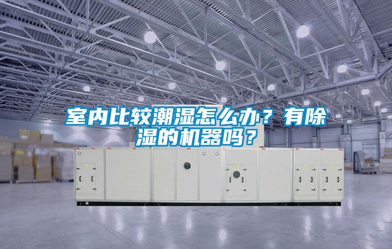 室內比較潮濕怎么辦？有除濕的機器嗎？