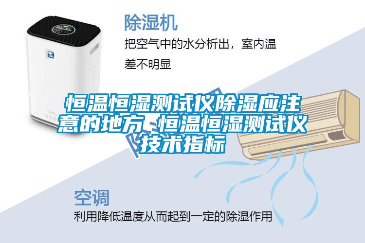 恒溫恒濕測試儀除濕應(yīng)注意的地方 恒溫恒濕測試儀技術(shù)指標(biāo)