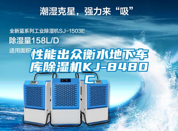 性能出眾衡水地下車庫除濕機KJ-8480C