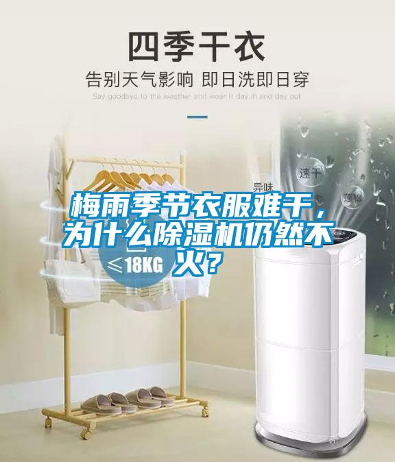梅雨季節衣服難干,為什么除濕機仍然不火?