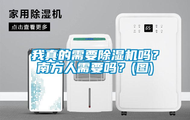 我真的需要除濕機(jī)嗎？南方人需要嗎？(圖)