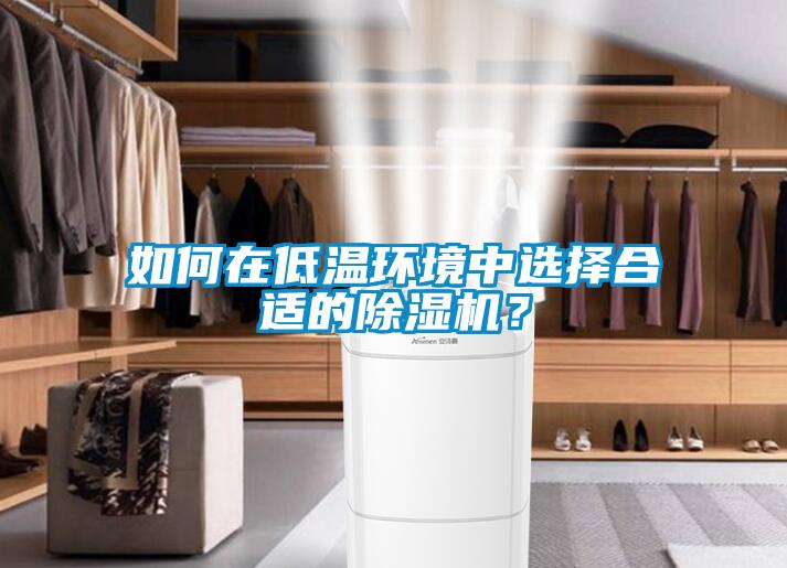 如何在低溫環境中選擇合適的除濕機？