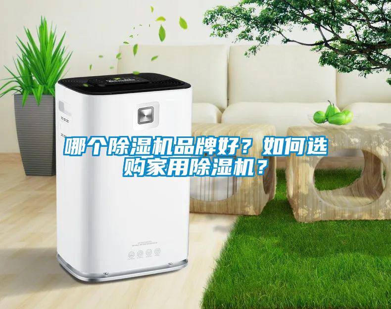 哪個除濕機品牌好？如何選購家用除濕機？