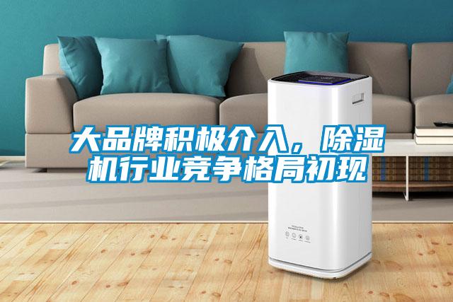 大品牌積極介入，除濕機行業競爭格局初現