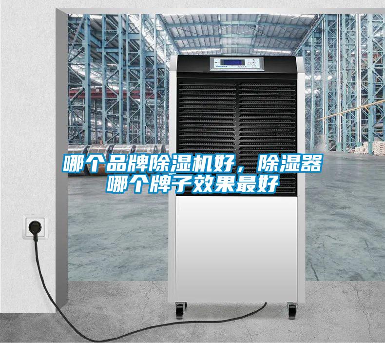哪個(gè)品牌除濕機(jī)好，除濕器哪個(gè)牌子效果最好