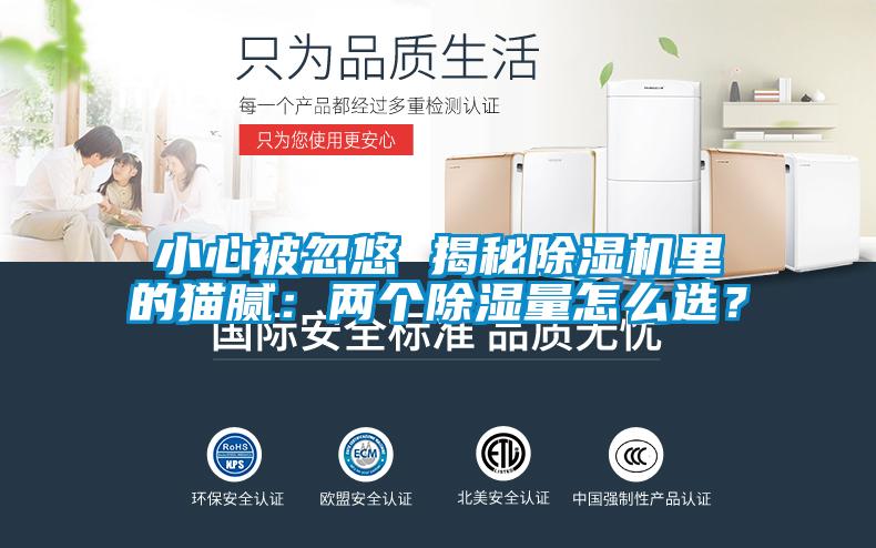 小心被忽悠 揭秘除濕機里的貓膩：兩個除濕量怎么選？