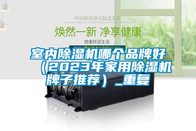 室內(nèi)除濕機(jī)哪個(gè)品牌好(2023年家用除濕機(jī)牌子推薦)_重復(fù)