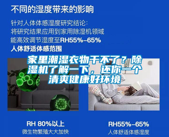 家里潮濕衣物干不了？除濕機了解一下，還你一個清爽健康好環境