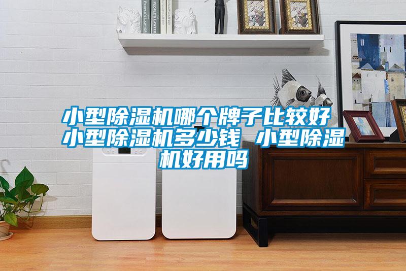 小型除濕機(jī)哪個牌子比較好 小型除濕機(jī)多少錢 小型除濕機(jī)好用嗎