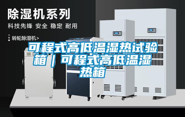 可程式高低溫濕熱試驗箱|可程式高低溫濕熱箱