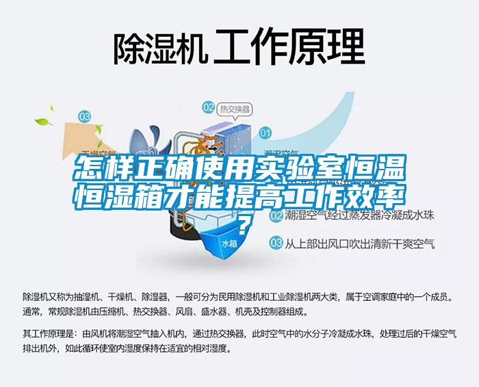 怎樣正確使用實(shí)驗(yàn)室恒溫恒濕箱才能提高工作效率?