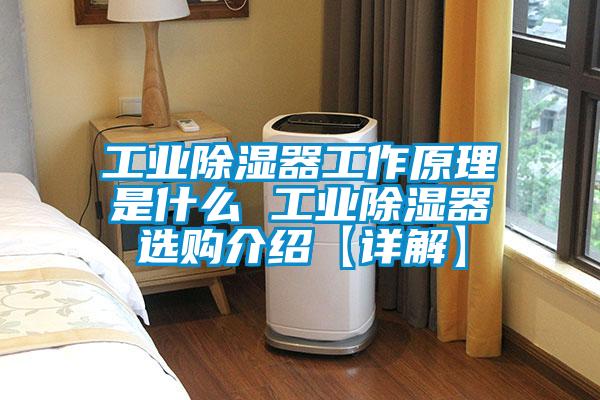 工業除濕器工作原理是什么 工業除濕器選購介紹【詳解】